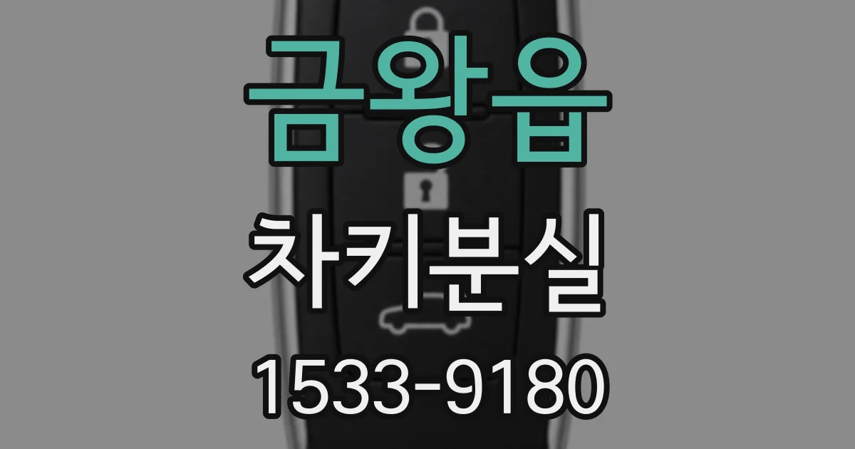 금왕읍 차키분실