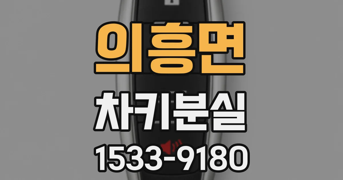 의흥면 차키분실