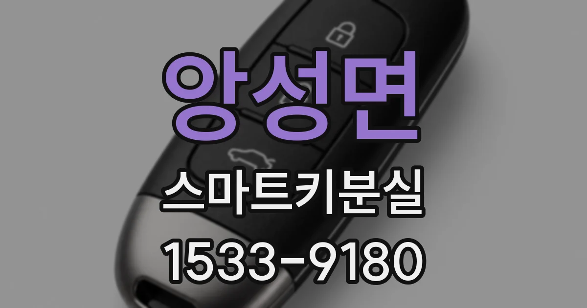 앙성면 스마트키분실