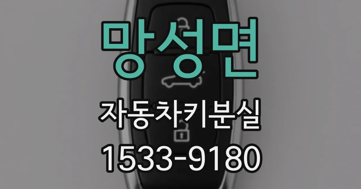 망성면 자동차키분실