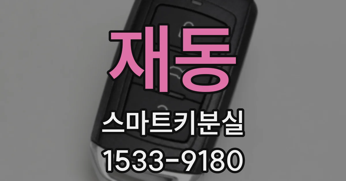 재동 스마트키분실