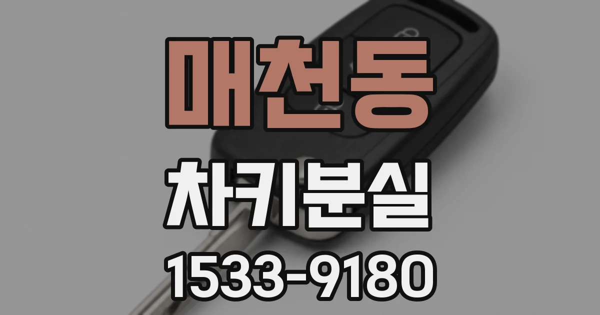 매천동 차키분실