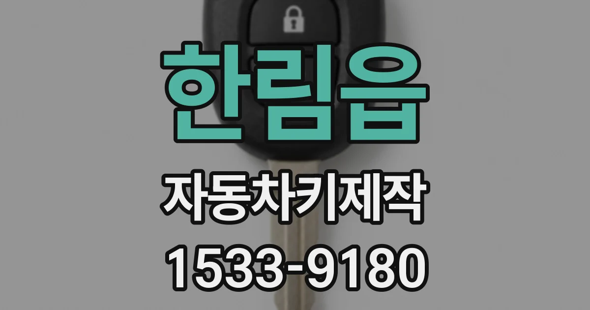 한림읍 자동차키제작
