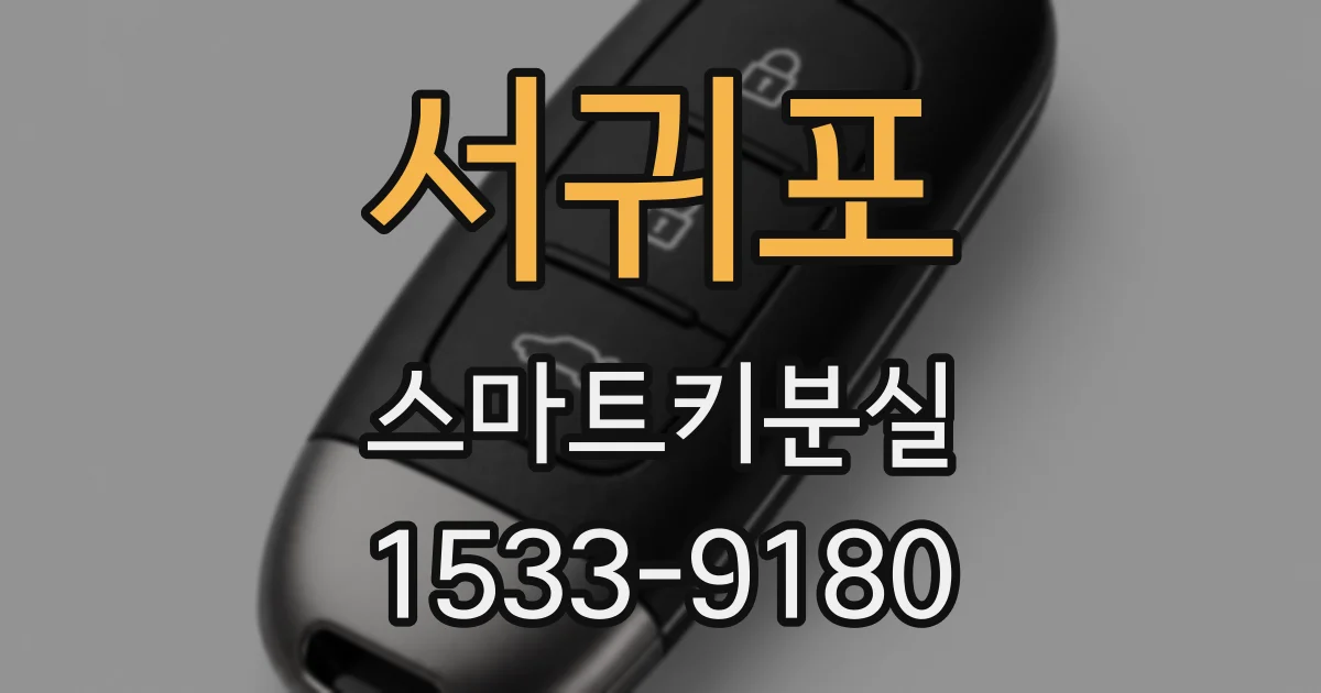 서귀포 스마트키분실