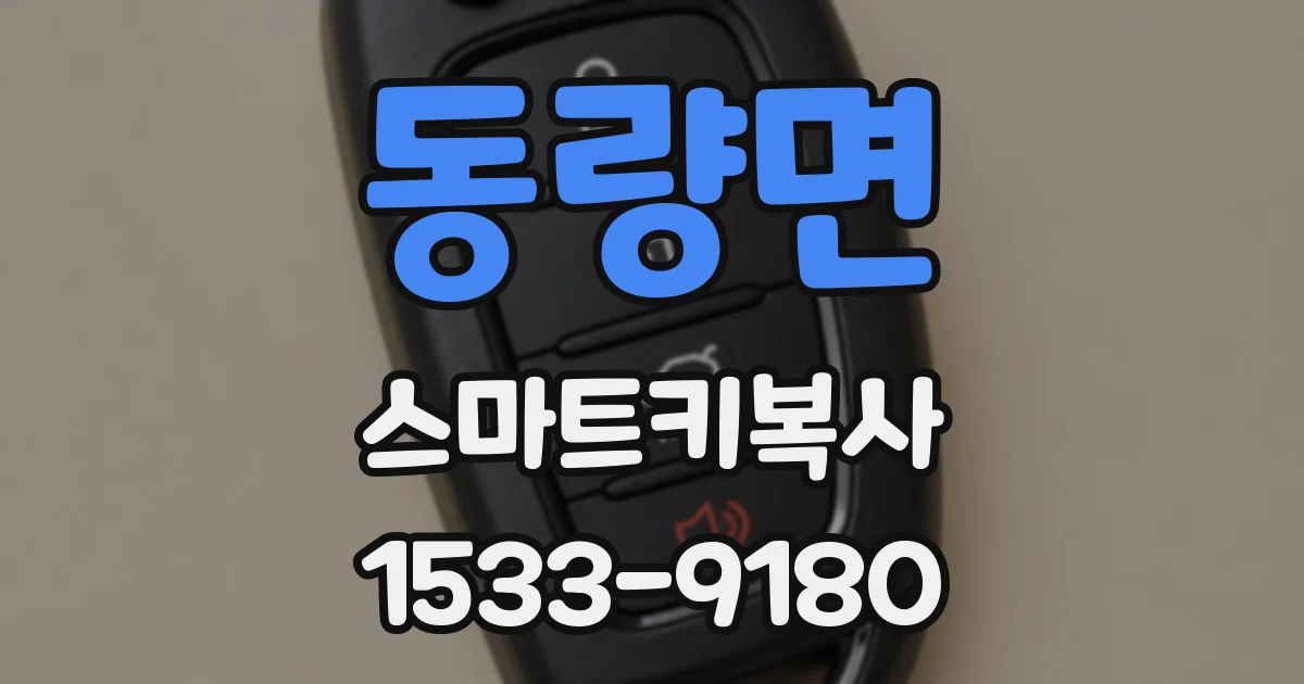 동량면 스마트키복사