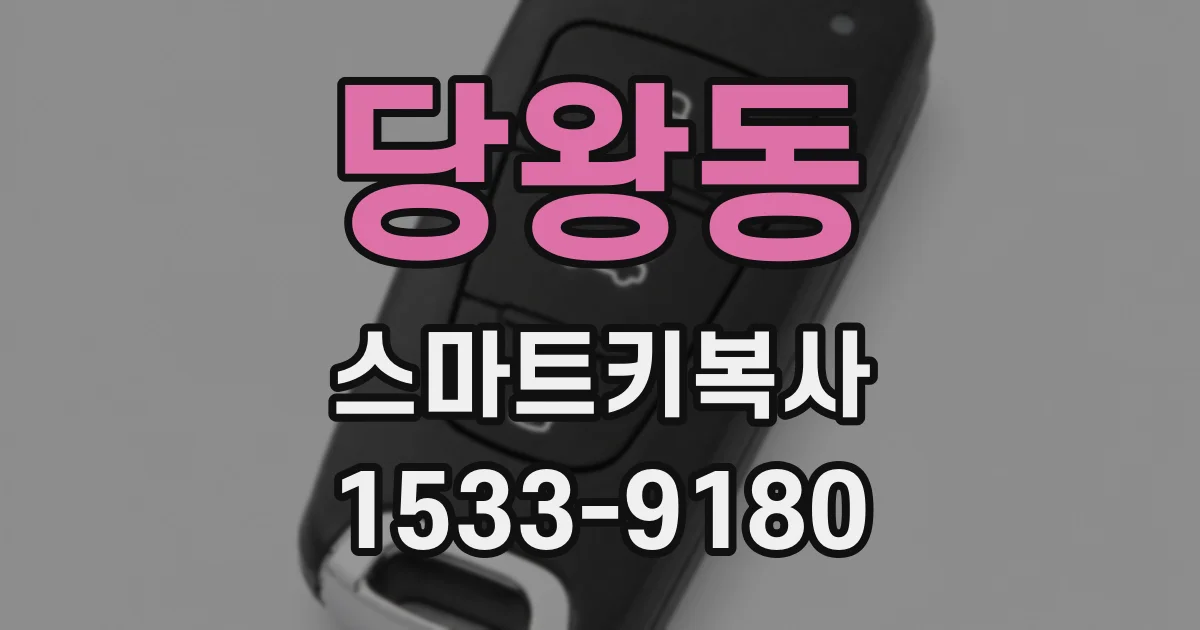 당왕동 스마트키복사