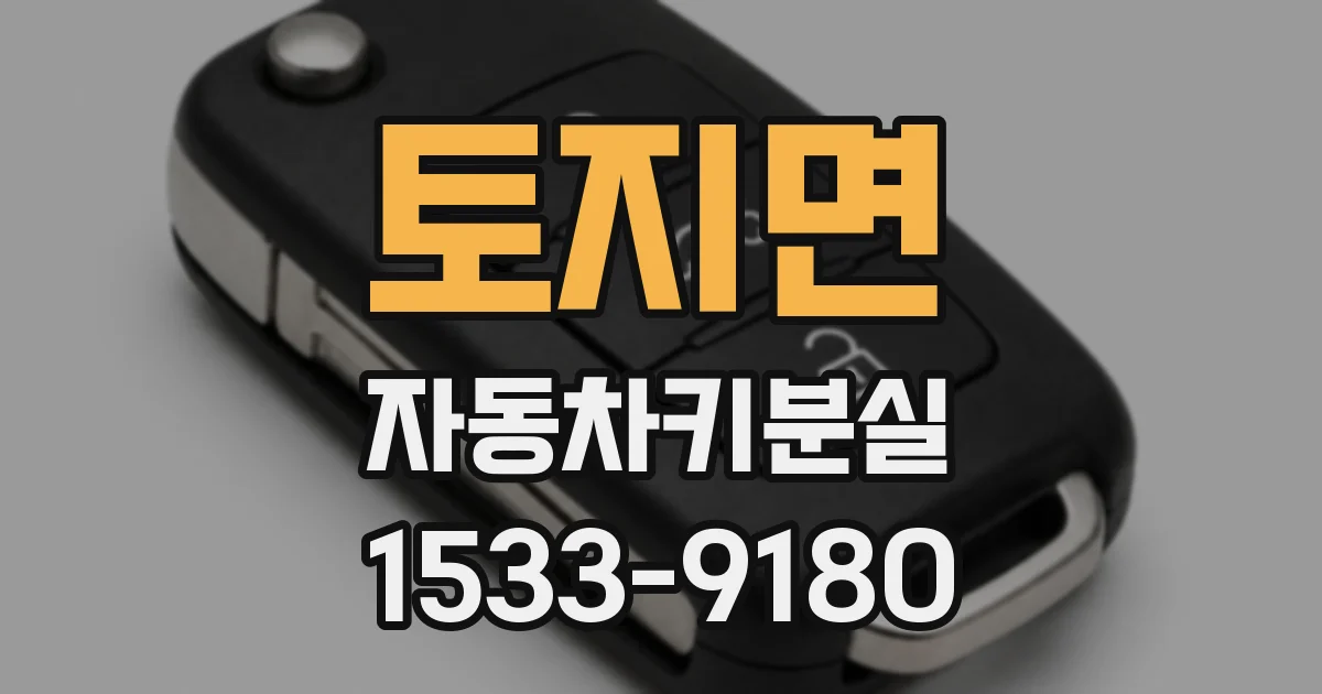 토지면 자동차키분실