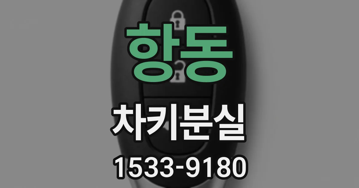 항동 차키분실