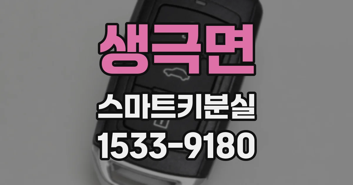 생극면 스마트키분실