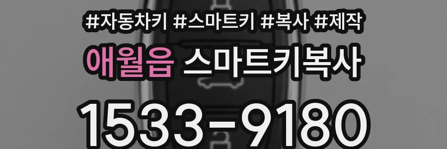 애월읍 스마트키복사