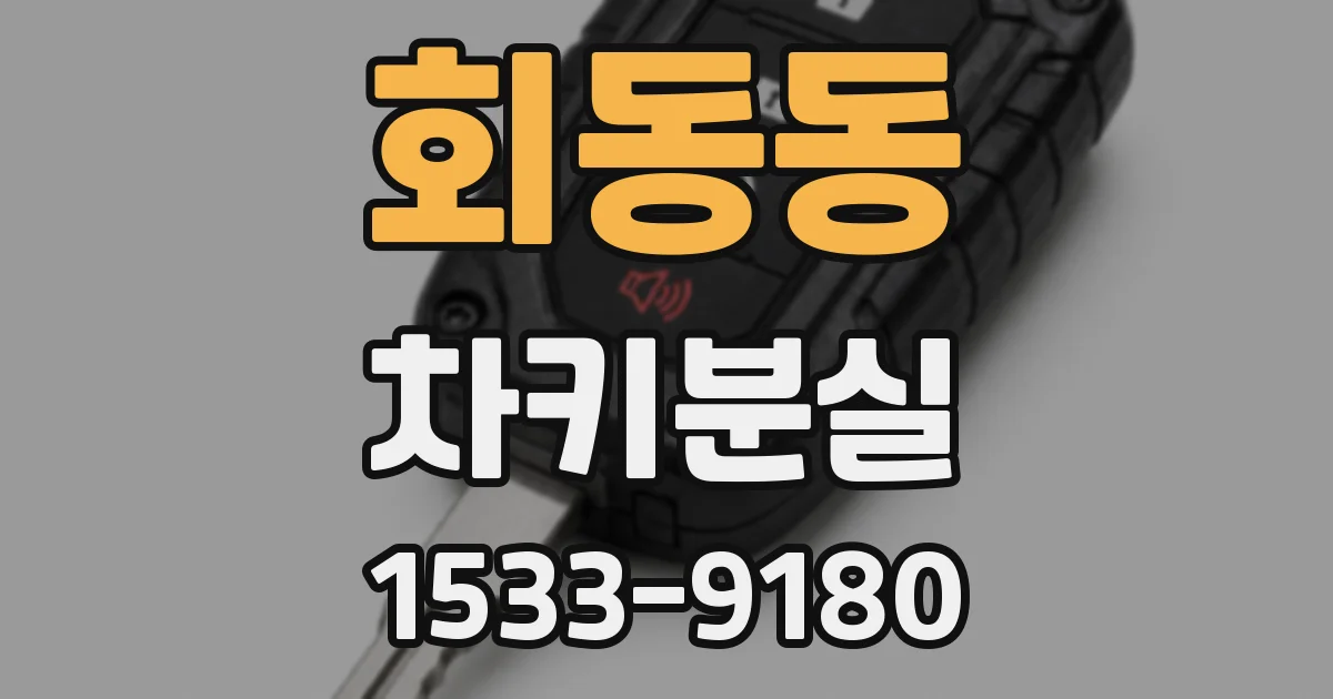 회동동 차키분실