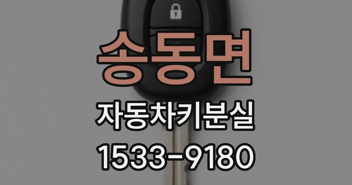 송동면 자동차키분실