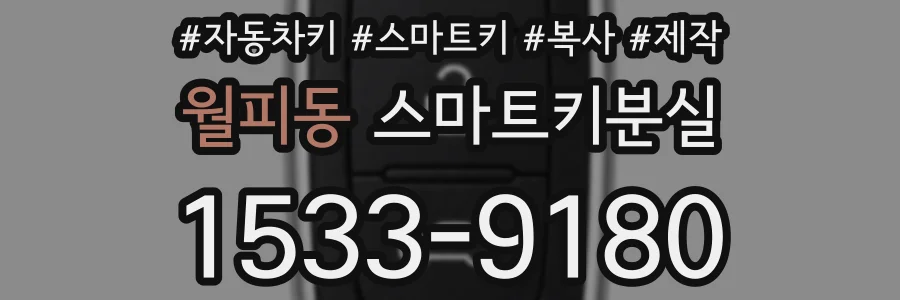월피동 스마트키분실