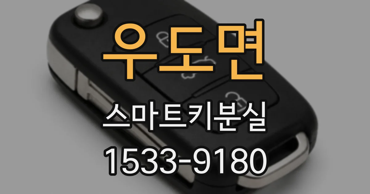 우도면 스마트키분실