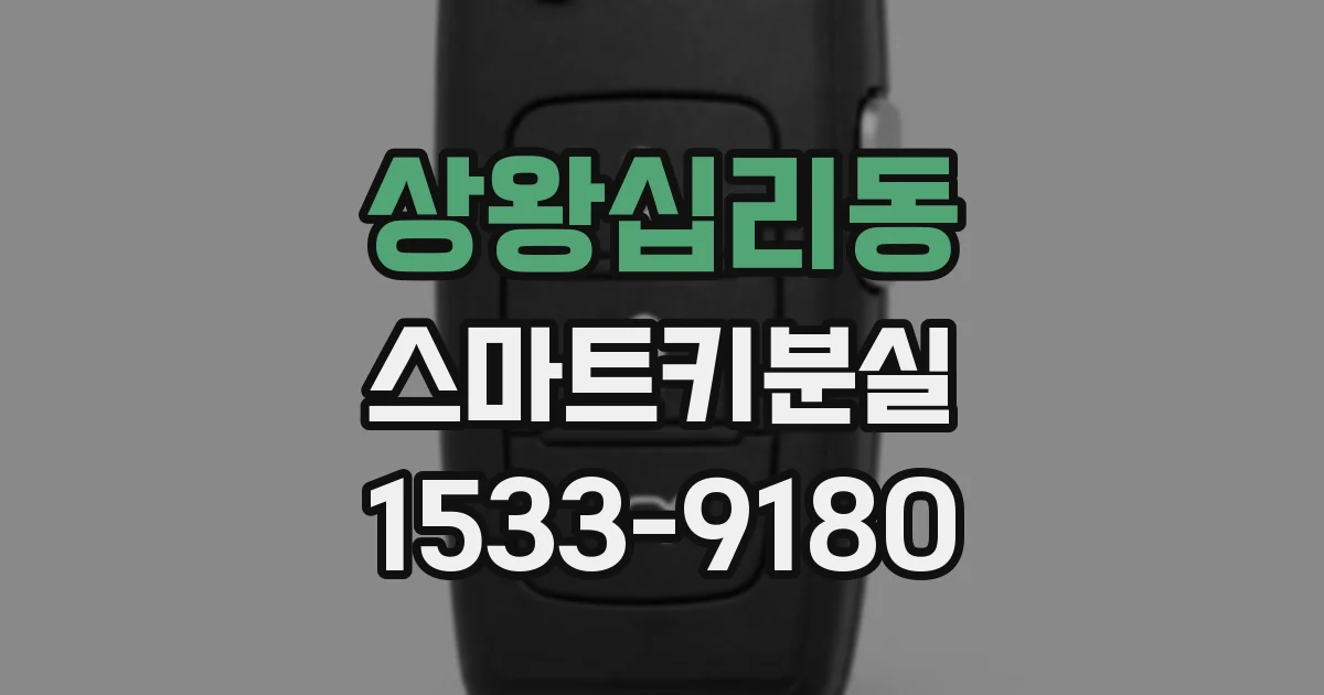 상왕십리동 스마트키분실