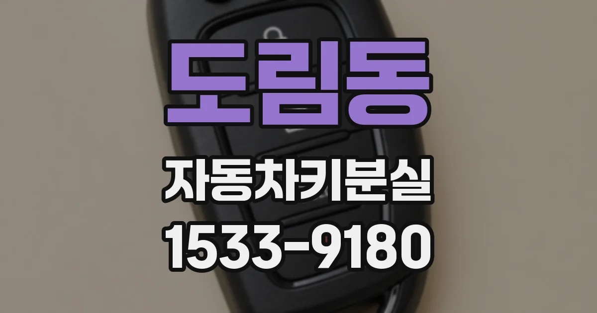 도림동 자동차키분실