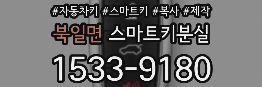 북일면 스마트키분실