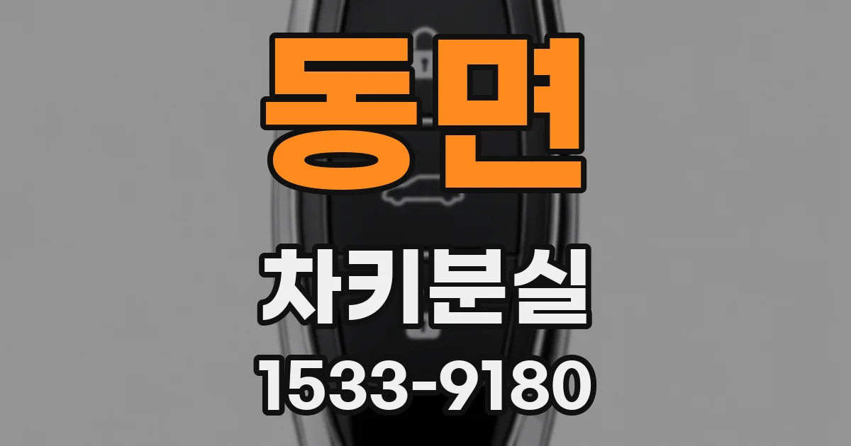 동면 차키분실