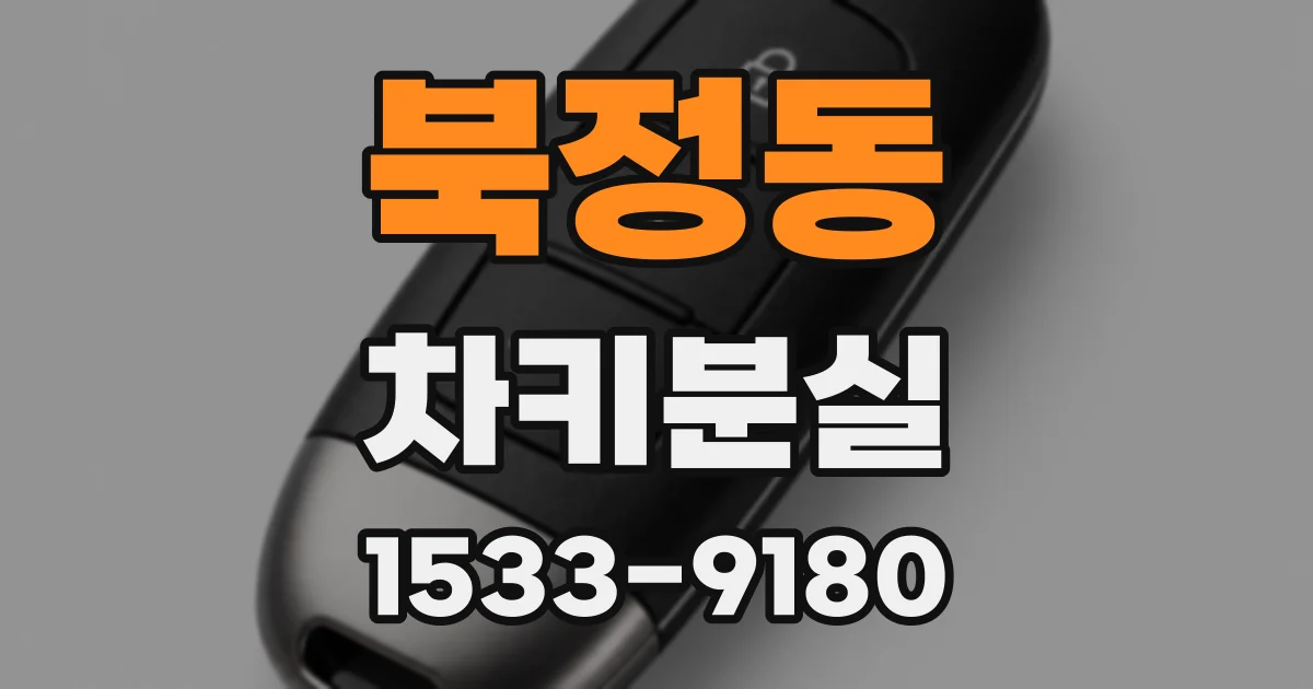 북정동 차키분실