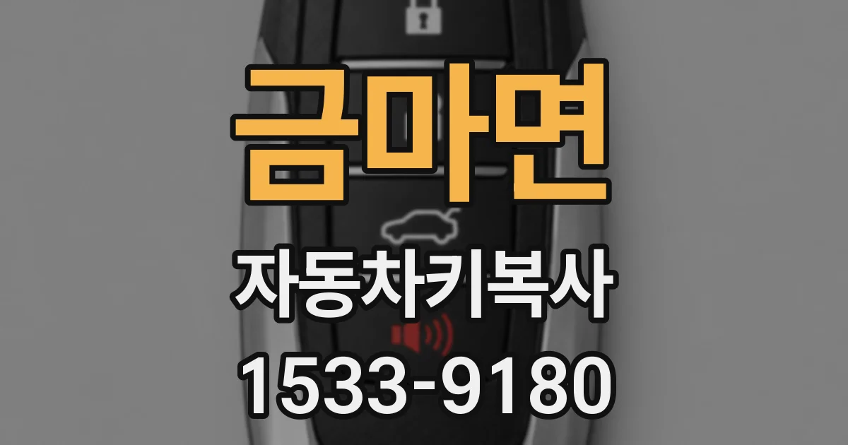 금마면 자동차키복사