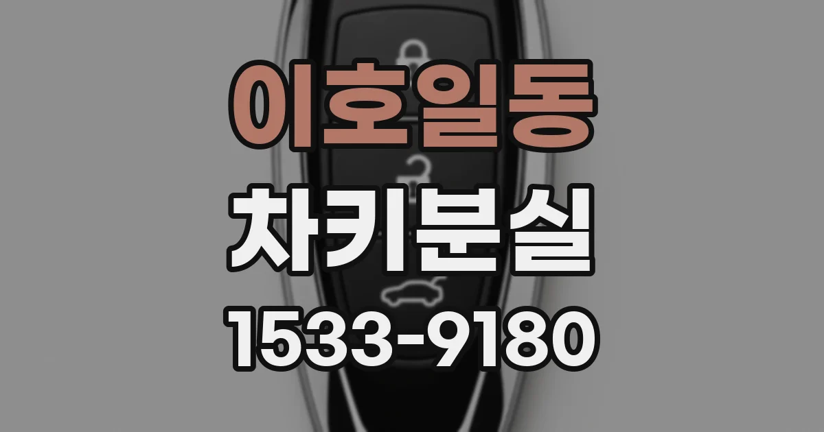 이호일동 차키분실