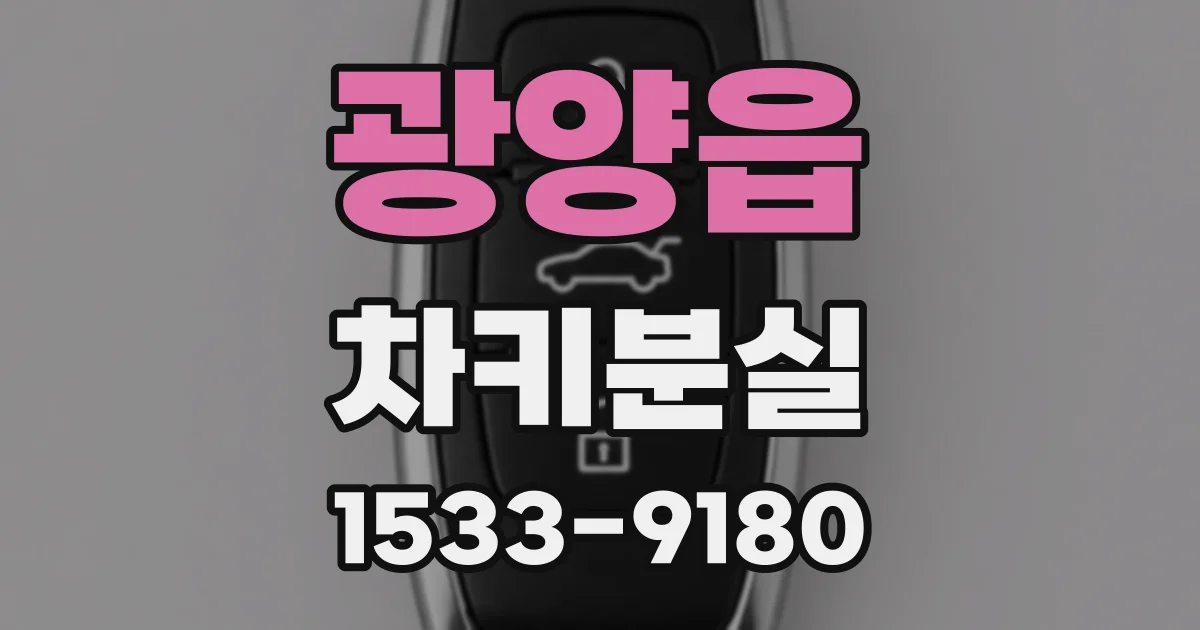 광양읍 차키분실