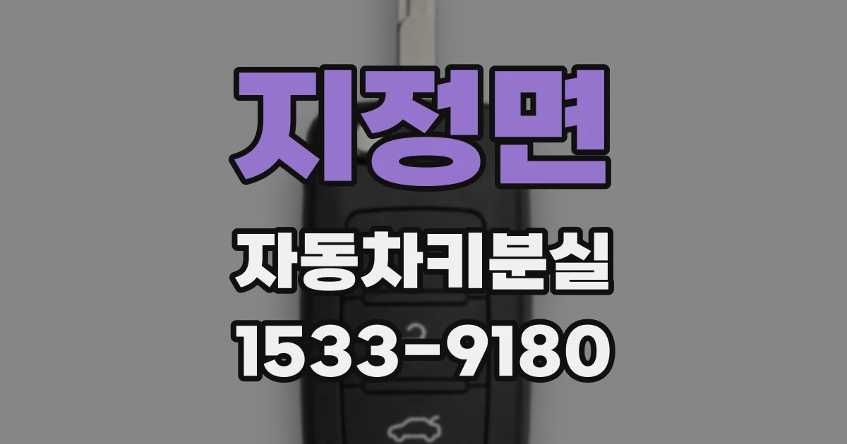 지정면 자동차키분실