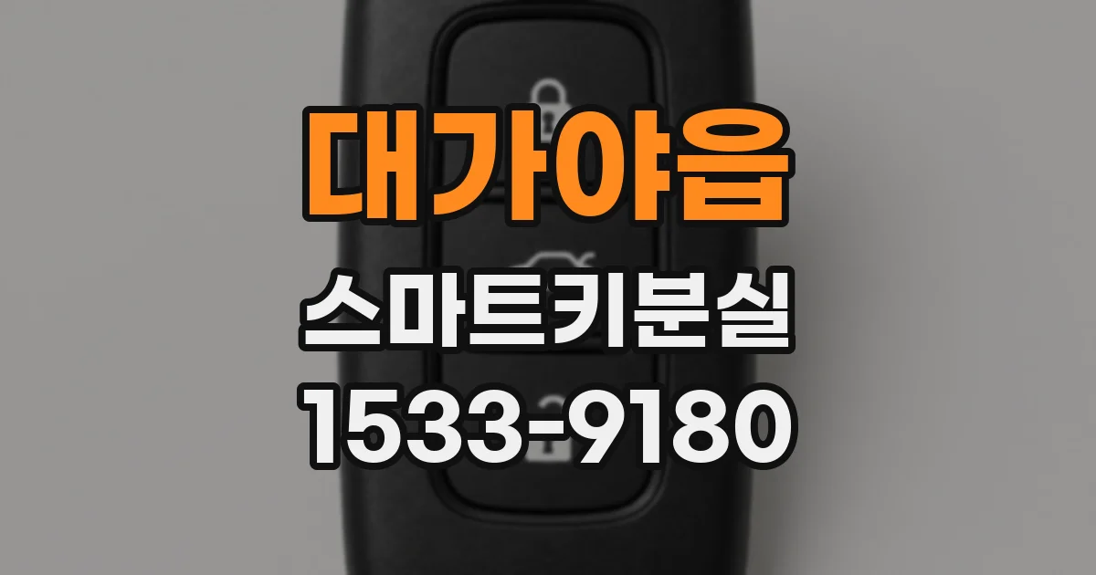 대가야읍 스마트키분실