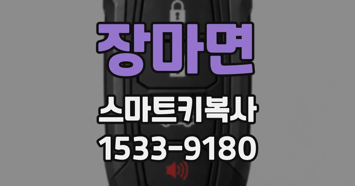 장마면 스마트키복사