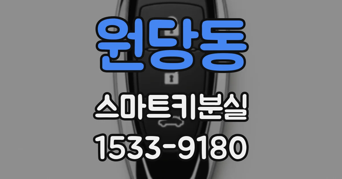 원당동 스마트키분실