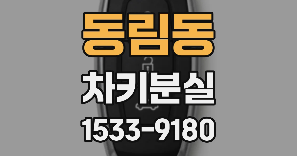 동림동 차키분실