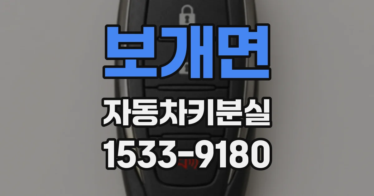 보개면 자동차키분실
