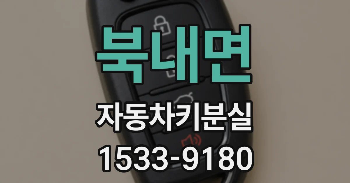 북내면 자동차키분실