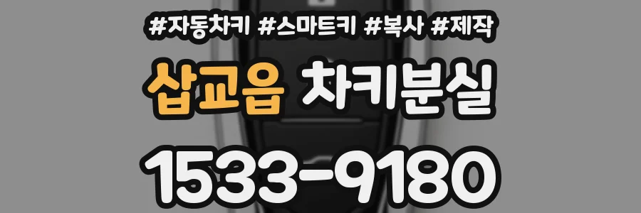 삽교읍 차키분실