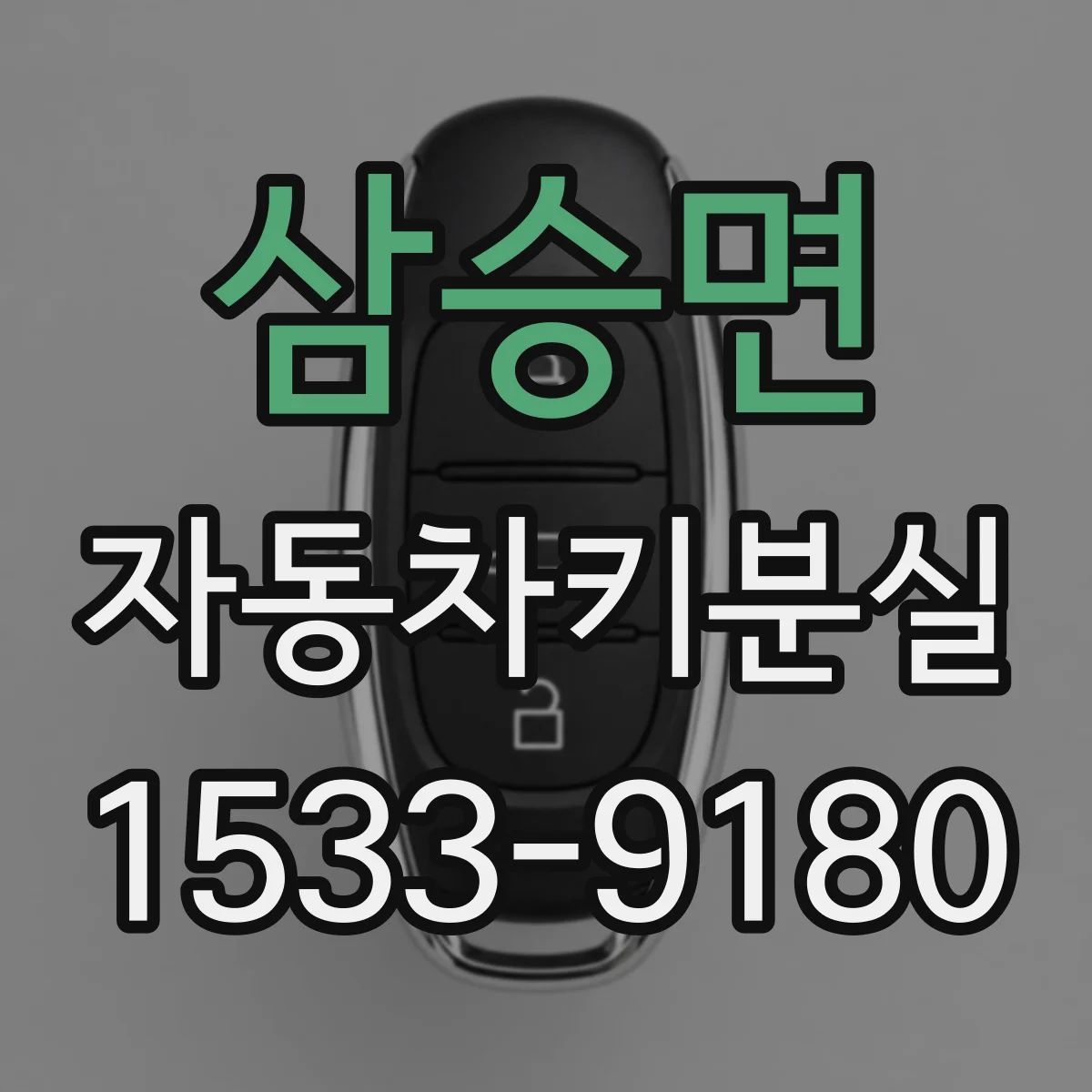 삼승면 자동차키분실