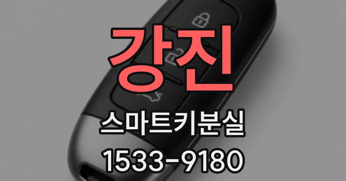 강진 스마트키분실