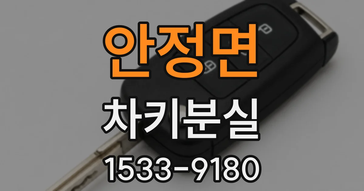 안정면 차키분실