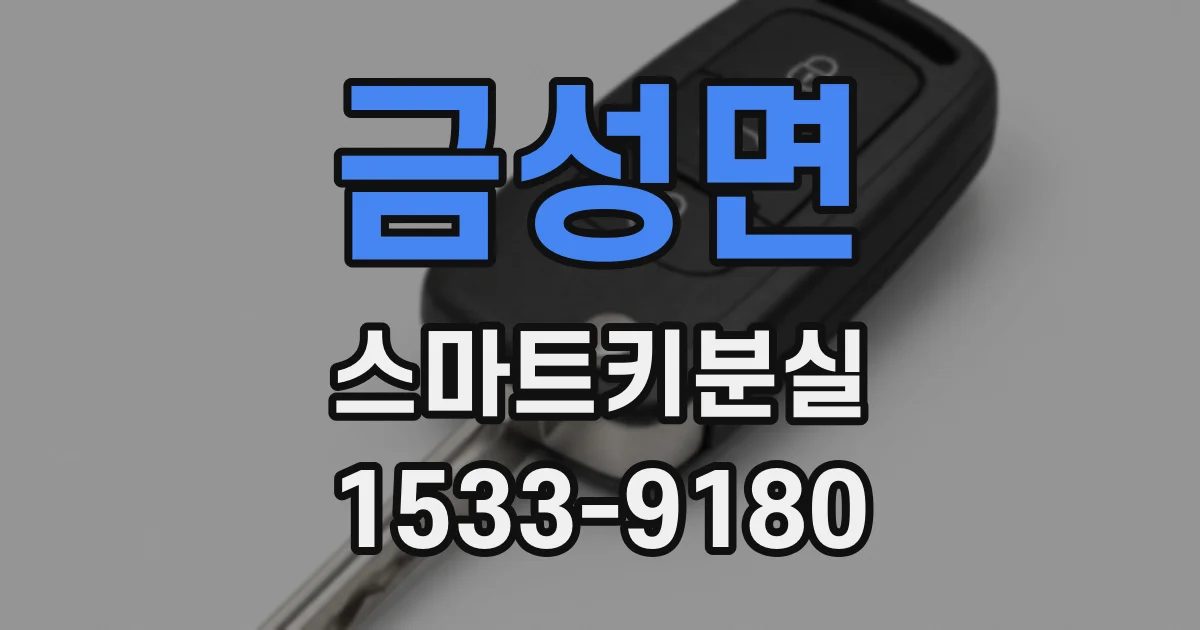 금성면 스마트키분실
