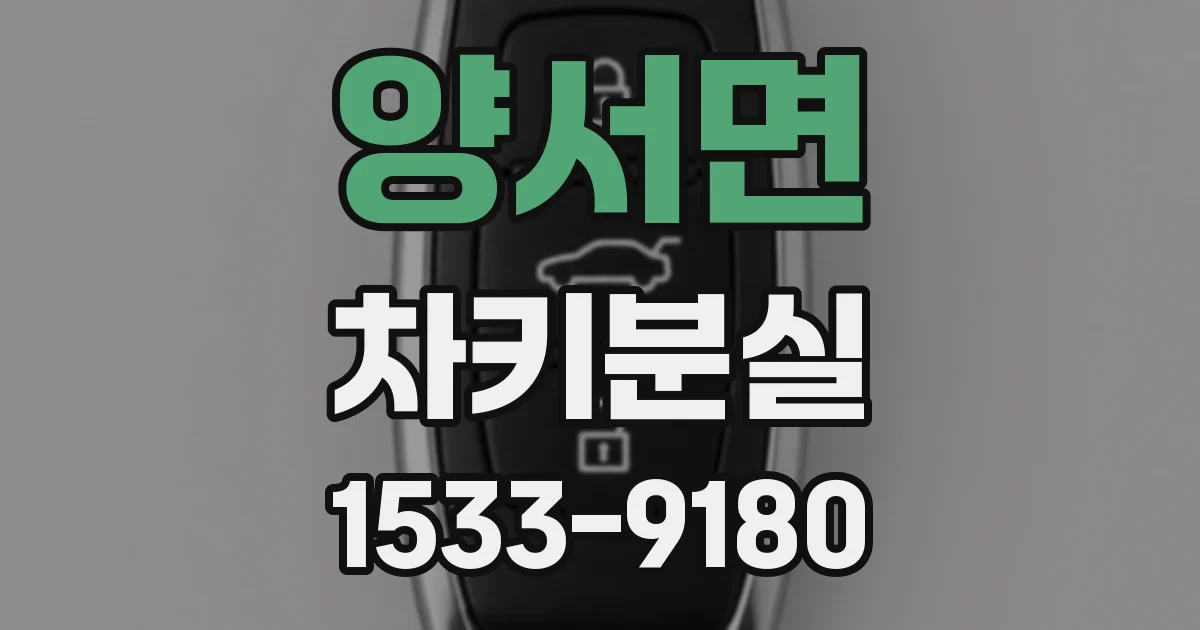 양서면 차키분실