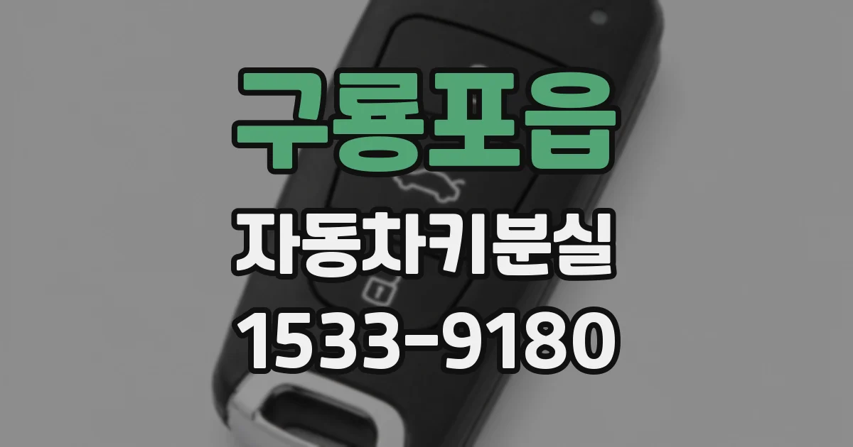 구룡포읍 자동차키분실
