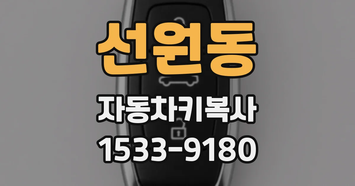 선원동 자동차키복사