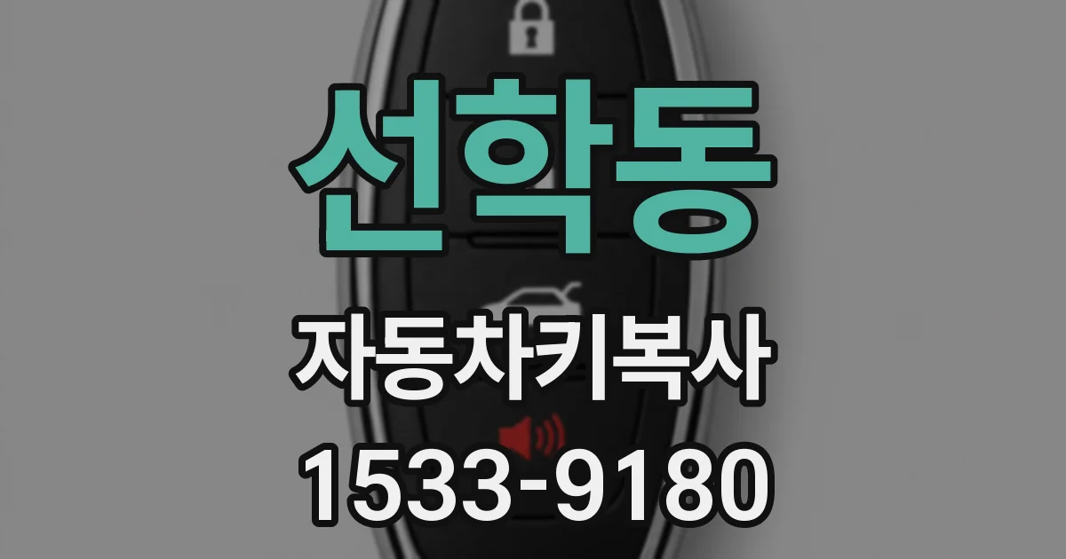 선학동 자동차키복사
