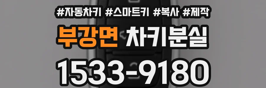 부강면 차키분실