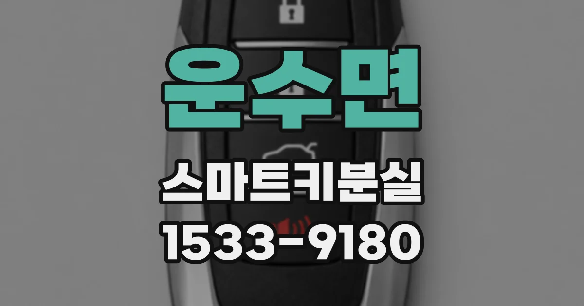 운수면 스마트키분실