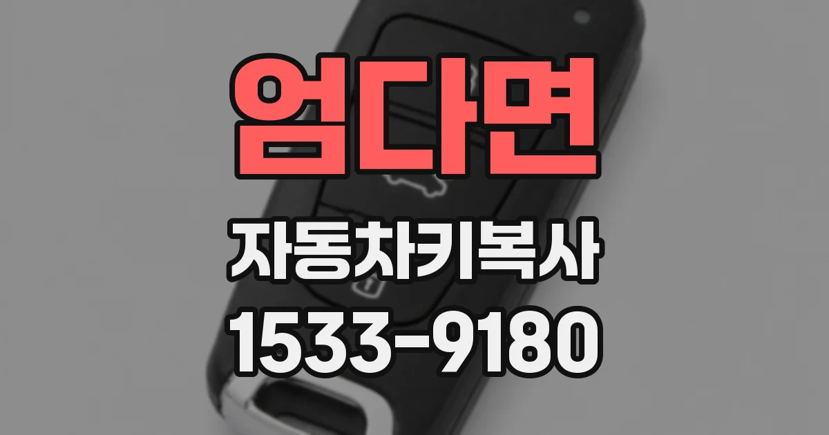 엄다면 자동차키복사