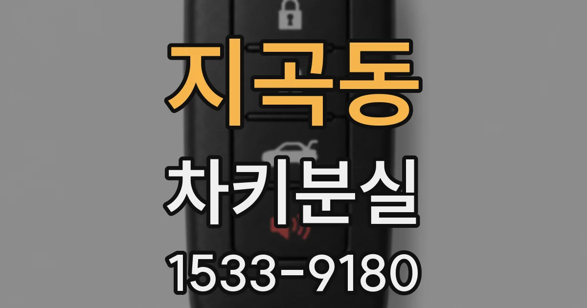 지곡동 차키분실