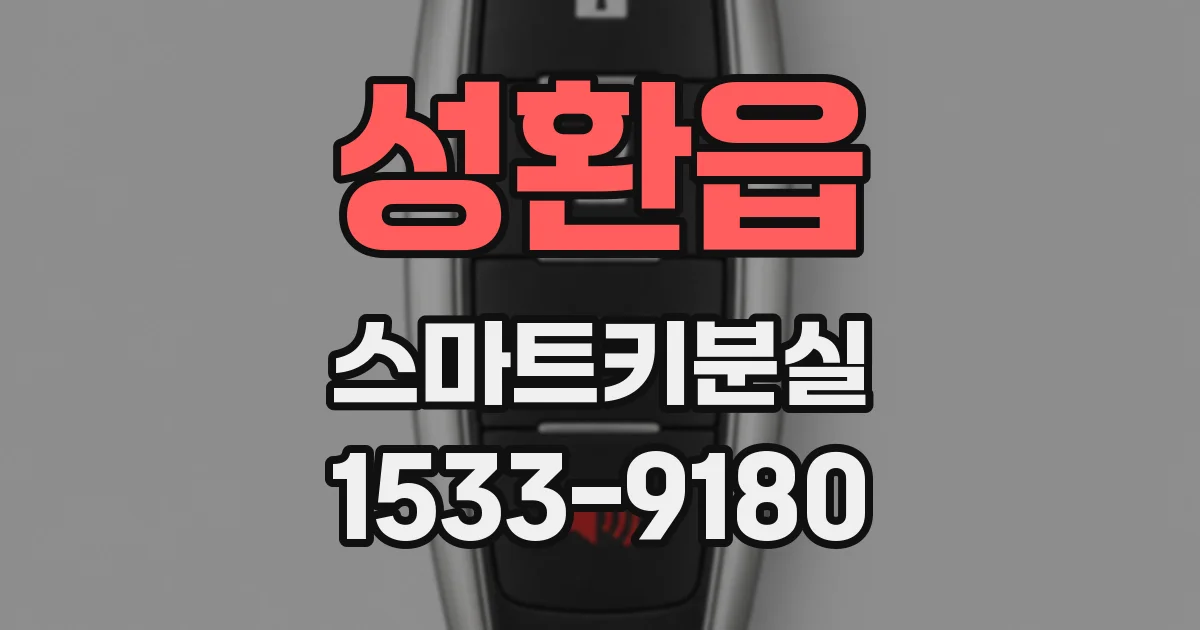 성환읍 스마트키분실