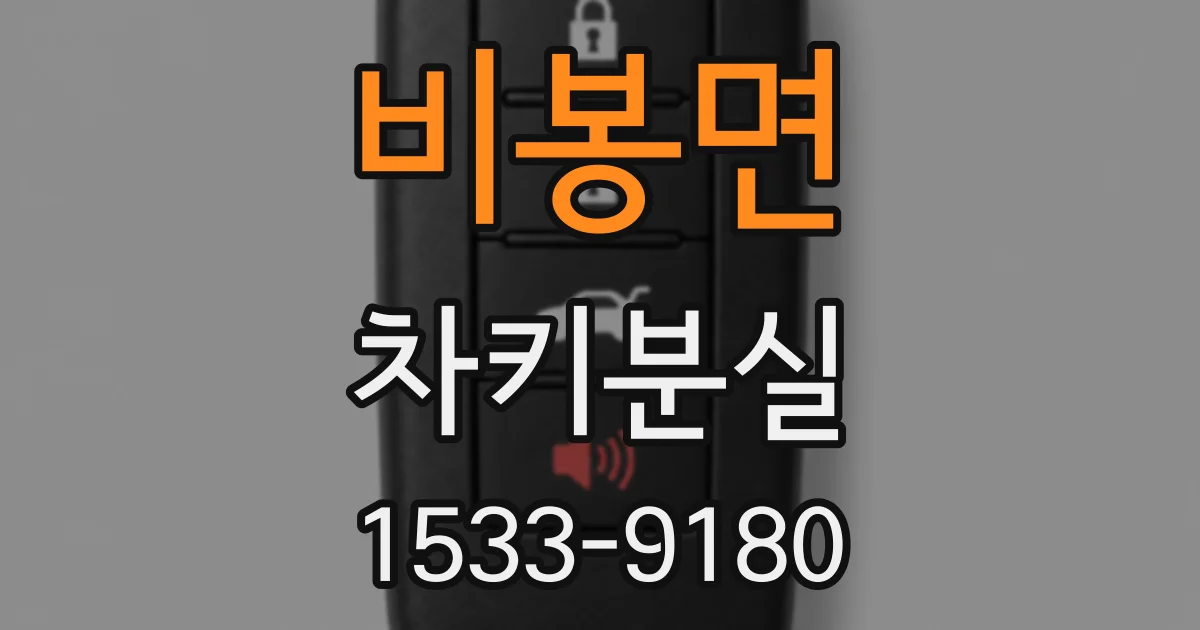 비봉면 차키분실