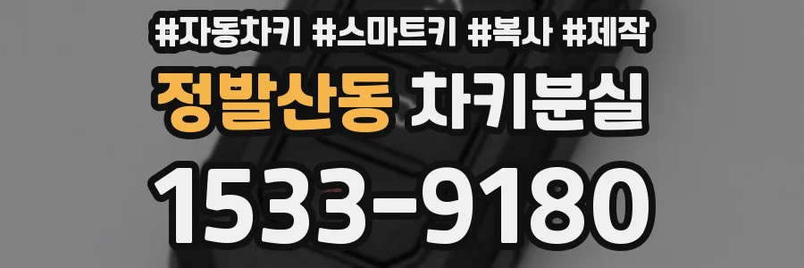 정발산동 차키분실