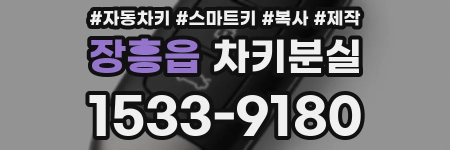 장흥읍 차키분실